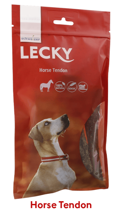 Horse Tendon