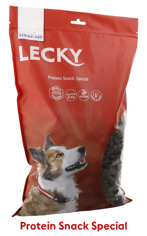 Protein Snack Special